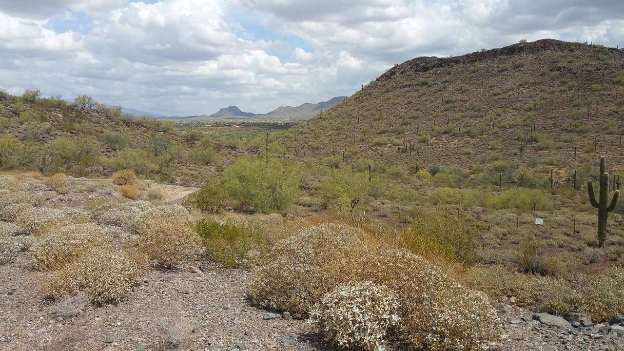 2526 W Praiano Way #24, Phoenix, AZ 85086