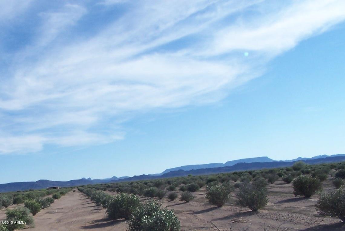 48626 66th St., Brenda, AZ 85348