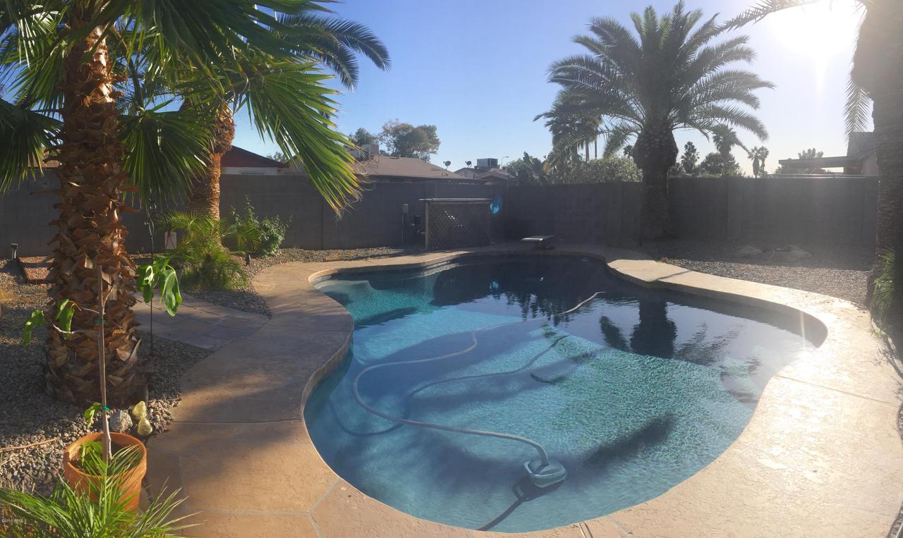 711 W El Alba Way, Chandler, AZ 85225