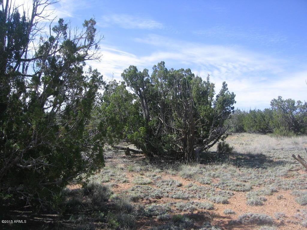 1160 NE Chevelon/section 10 T14n, R16e Ave., Heber, AZ 85928