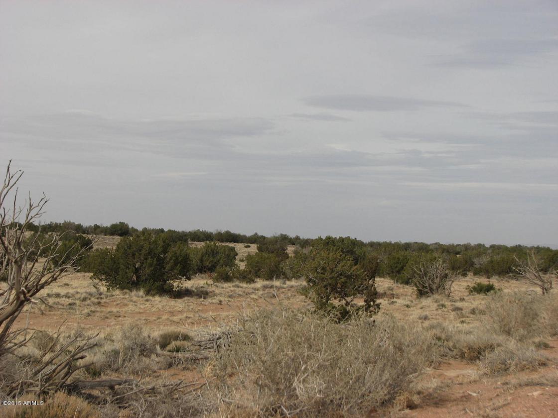 Sec.4 Chevelon Retreat #-, Heber, AZ 85928