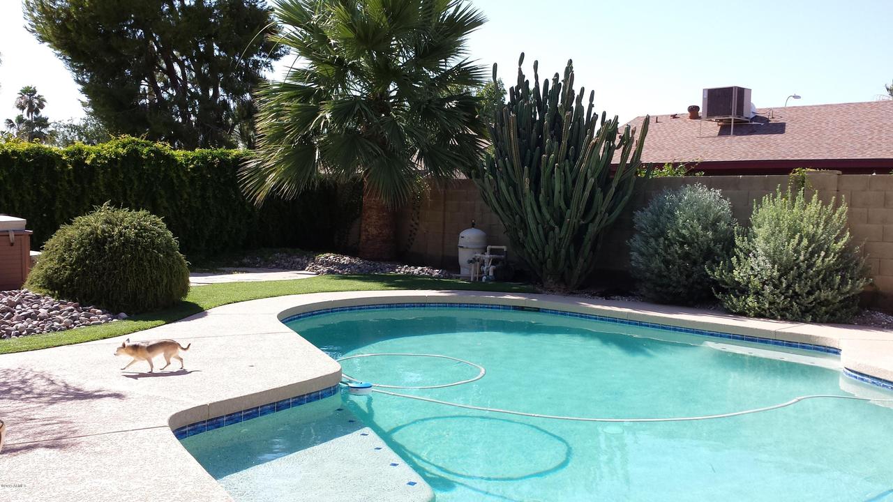 4828 W Milky Way, Chandler, AZ 85226