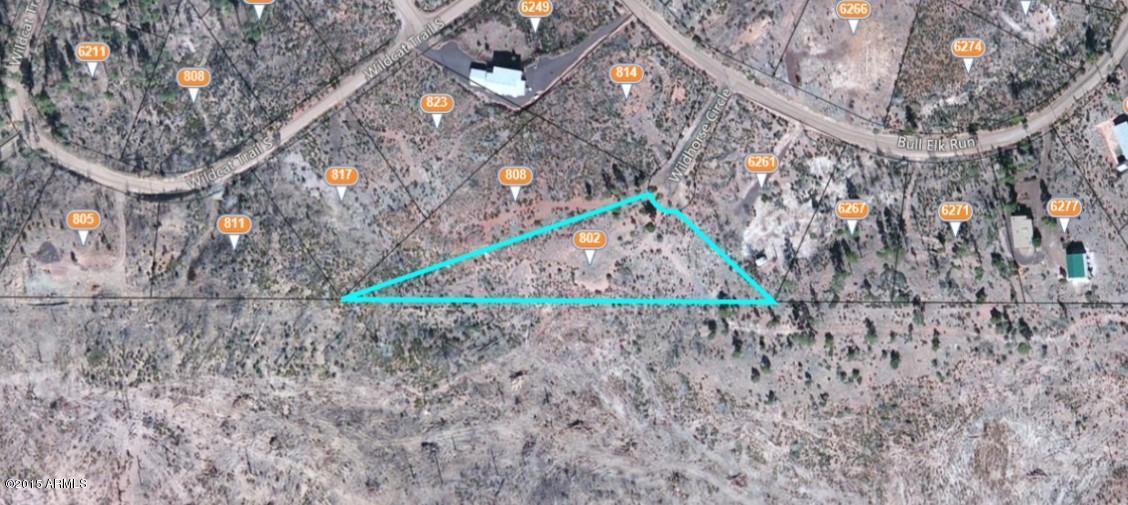 802 Wildhorse Cir. #121, Linden, AZ 85901