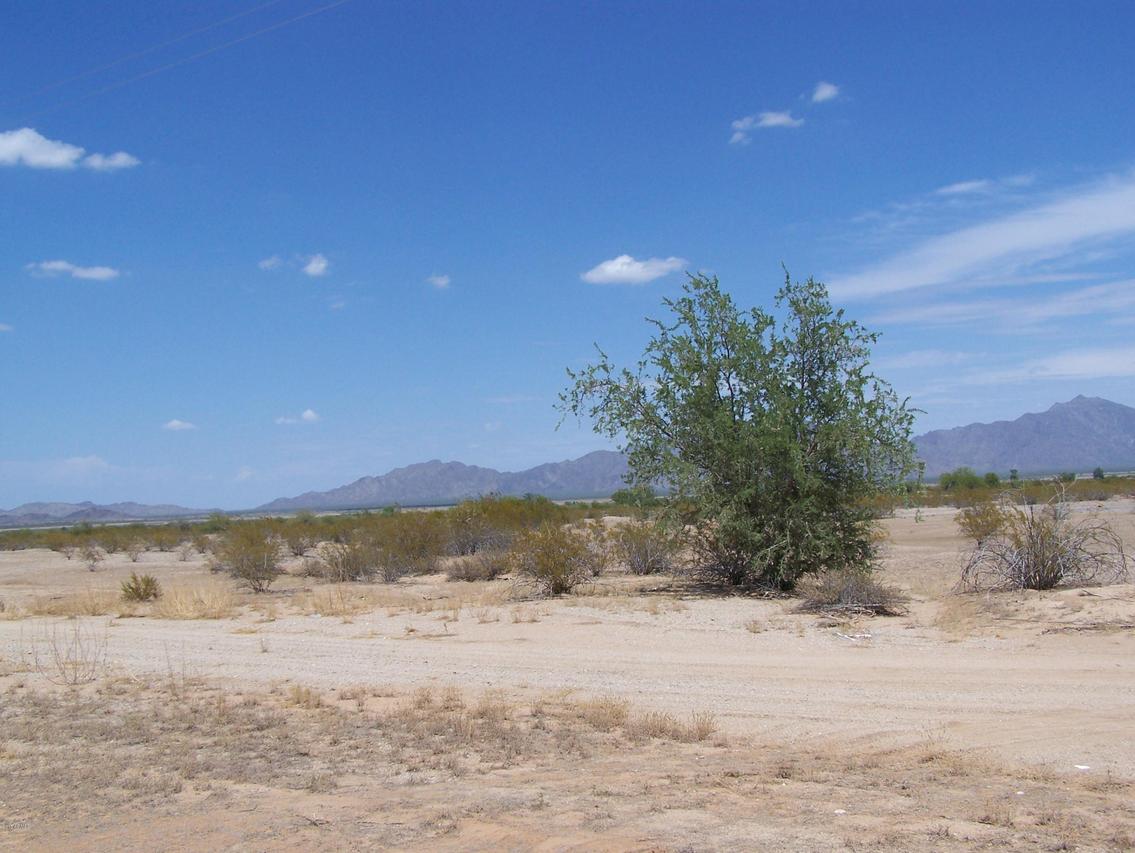 262xx S Manzanilla Rd. #14, Buckeye, AZ 85326