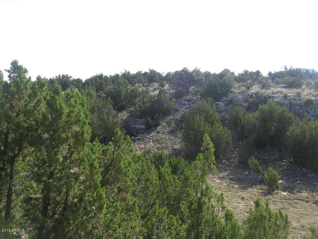 5212 Wild Oak Dr/sec 7 T14n R16e Dr., Heber, AZ 85928