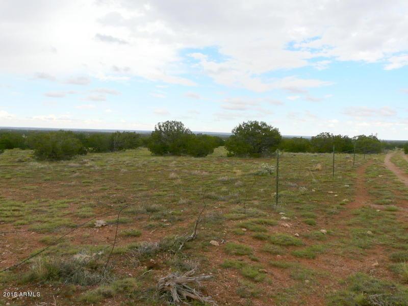 1623 Oil Pan Alley #22C, Heber, AZ 85928