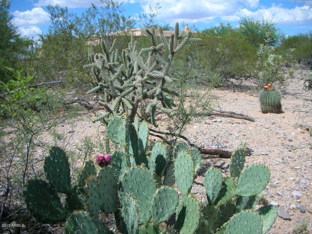 912 E Vault Mine Ct. #00171, Green Valley, AZ 85614