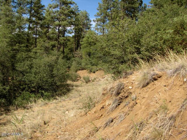 XXX E Old Senator Rd. #64d, Prescott, AZ 86303