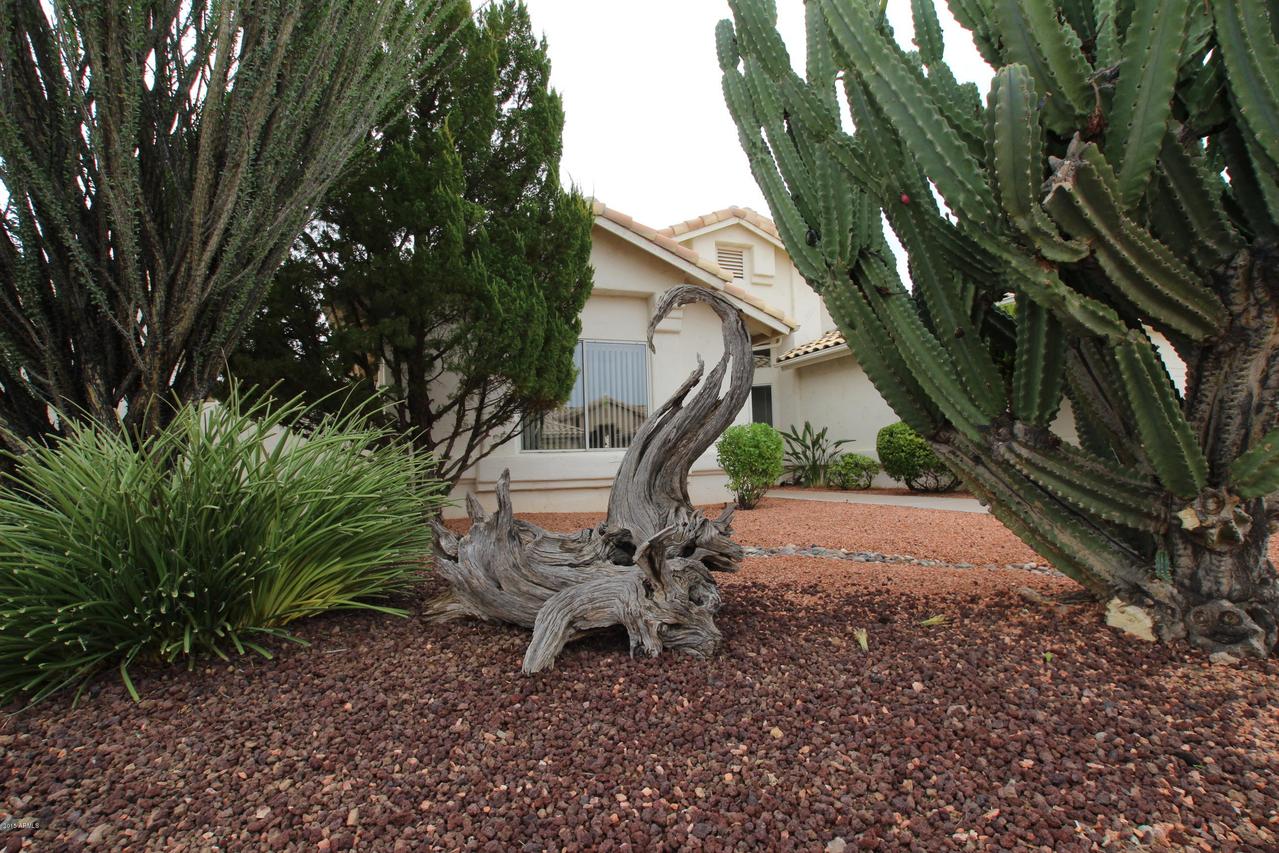 14555 W Bison Path, Surprise, AZ 85374