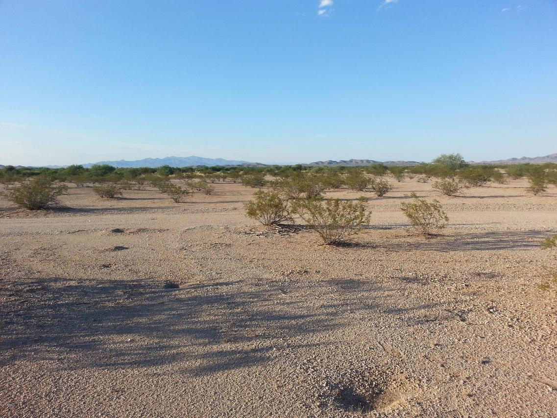 N Ocotillo Rd., Buckeye, AZ 85326