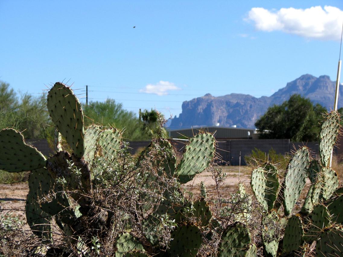 000000 E Mercury Dr. #005-A, Apache Junction, AZ 85120