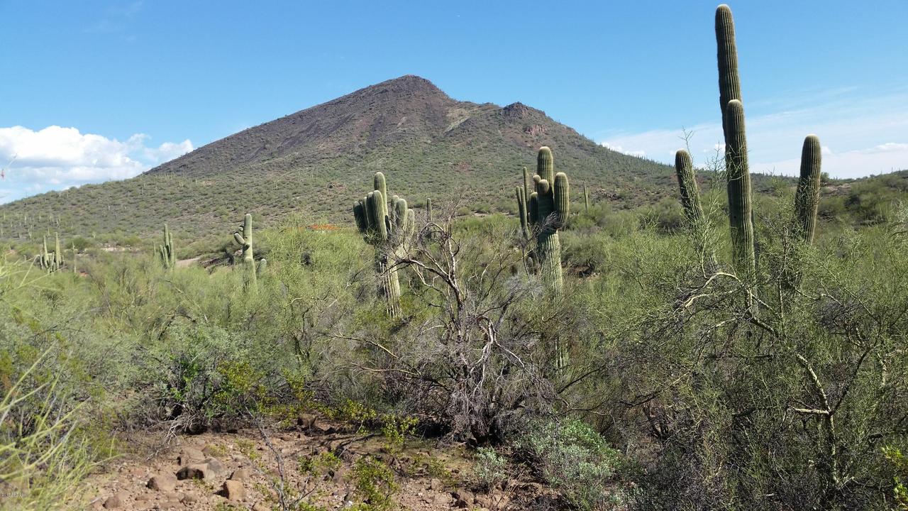 xxxx E Night Breeze Ln. #none, Phoenix, AZ 85086