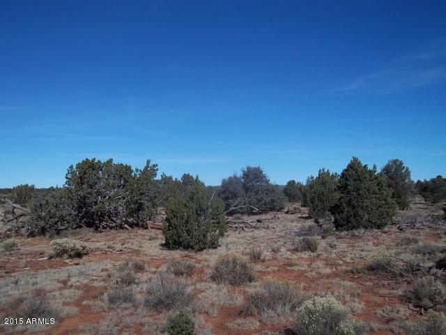 5572 Lasso Loop #437, Valle, AZ 86046