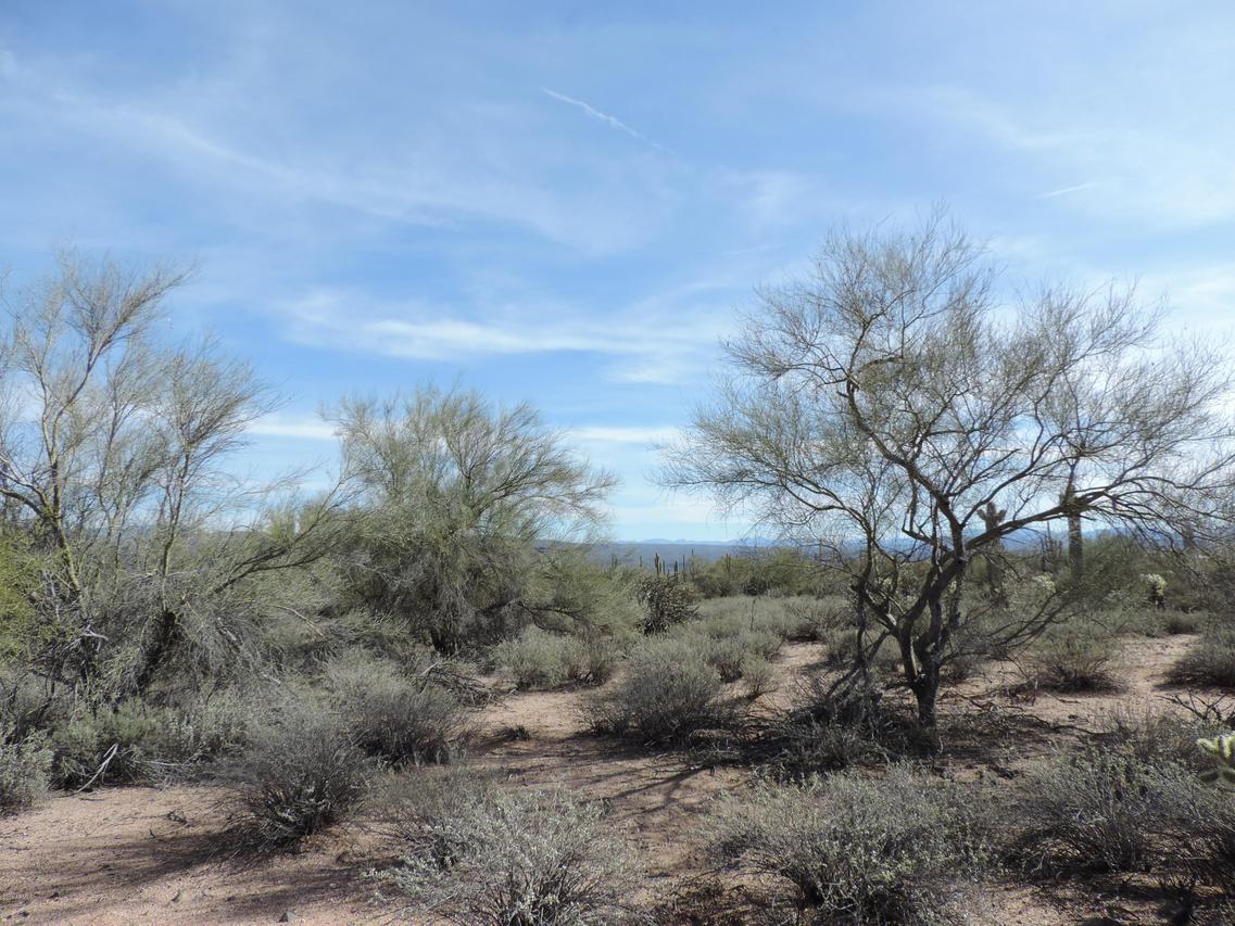 0000 E Lone Mountain, Rio Verde, AZ 85263