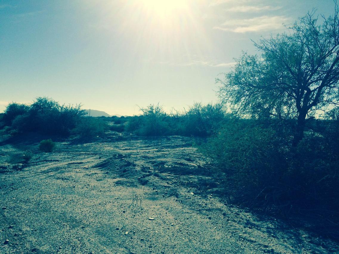 S Thornton Rd. #-, Casa Grande, AZ 85193