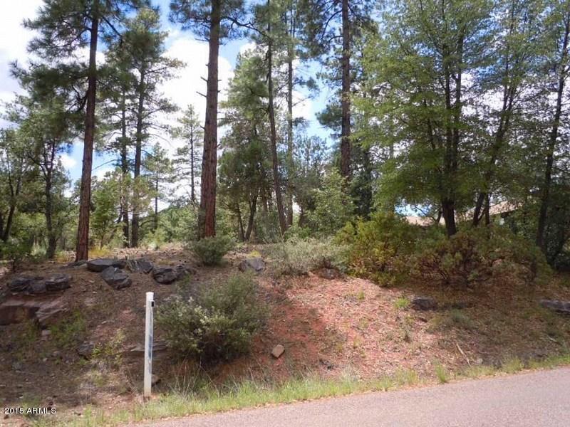 256 W Bradshaw Dr., Pine, AZ 85544
