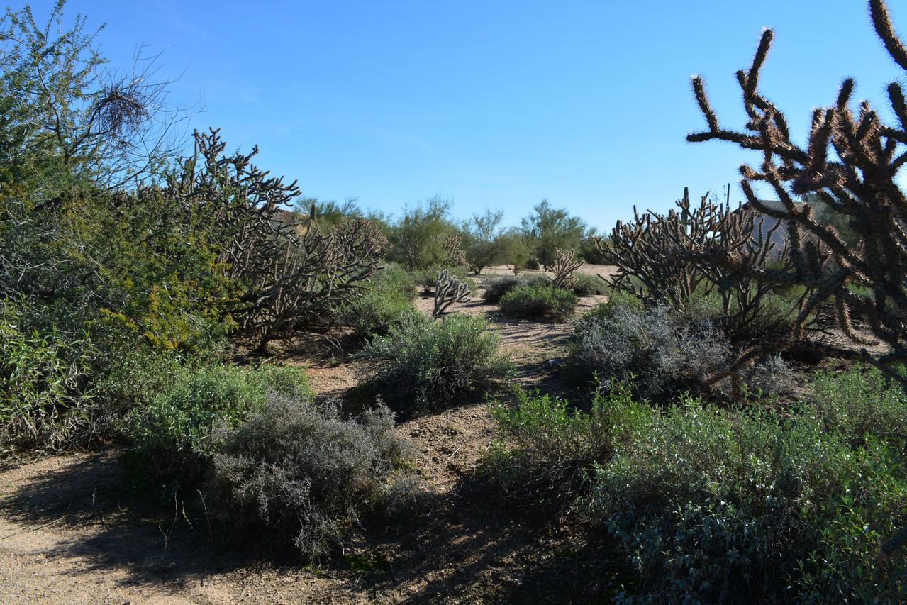 29407 N 56th St., Cave Creek, AZ 85331