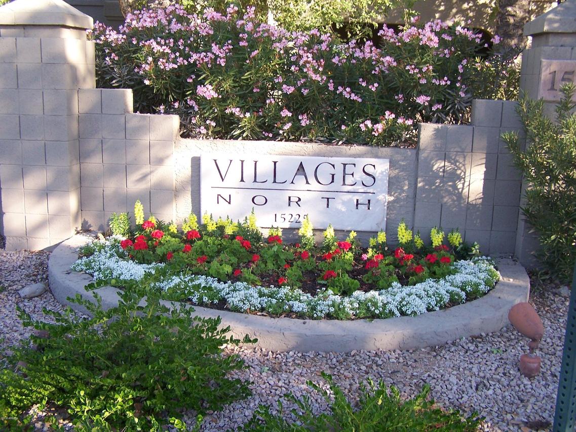 15225 N 100th St. #1199, Scottsdale, AZ 85260