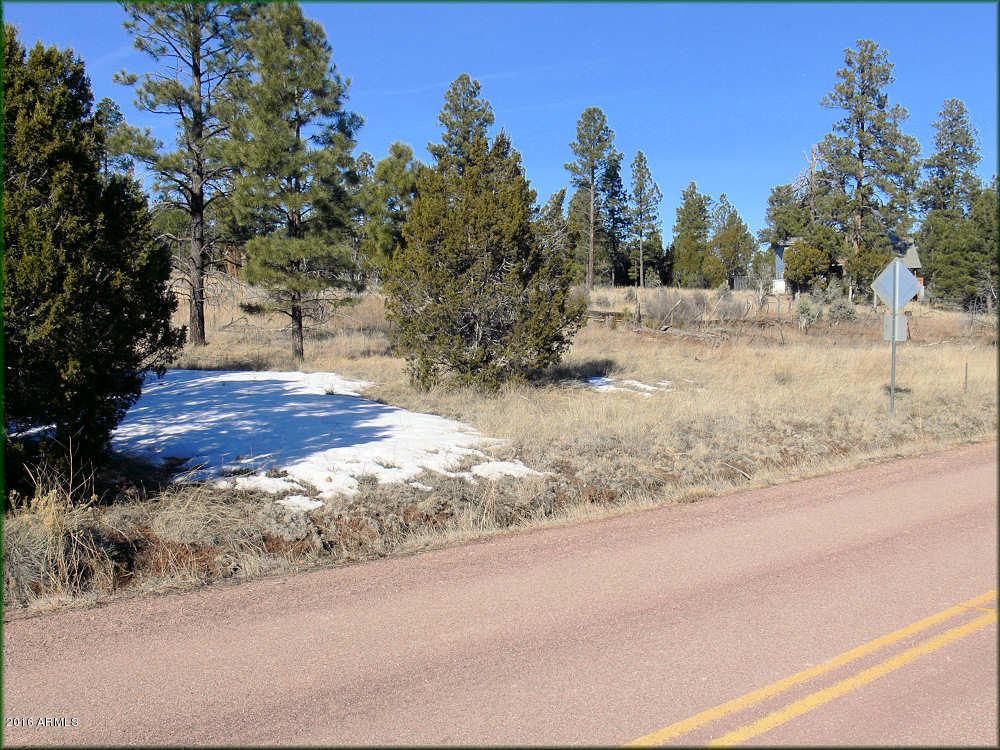 2904 Buckskin Canyon Rd. #57, Heber, AZ 85928