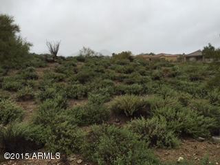 15636 E Scorpion Dr. #19, Fountain Hills, AZ 85268