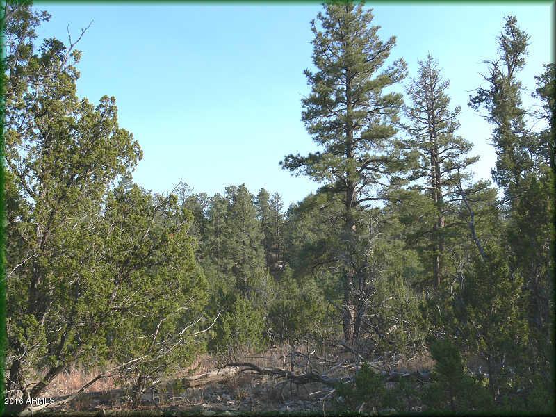 1748 Memorial Park Rd. #069 R, Heber, AZ 85928