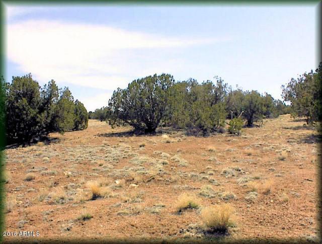 5344 Cramer Cir. #007 C, Heber, AZ 85928