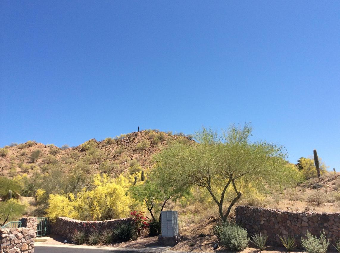 4315 N Santiago Cir. #13, Mesa, AZ 85215