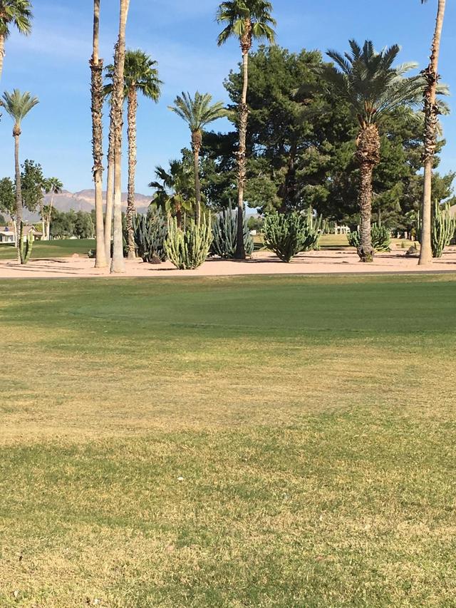 2525 N Snead Dr., Mesa, AZ 85215