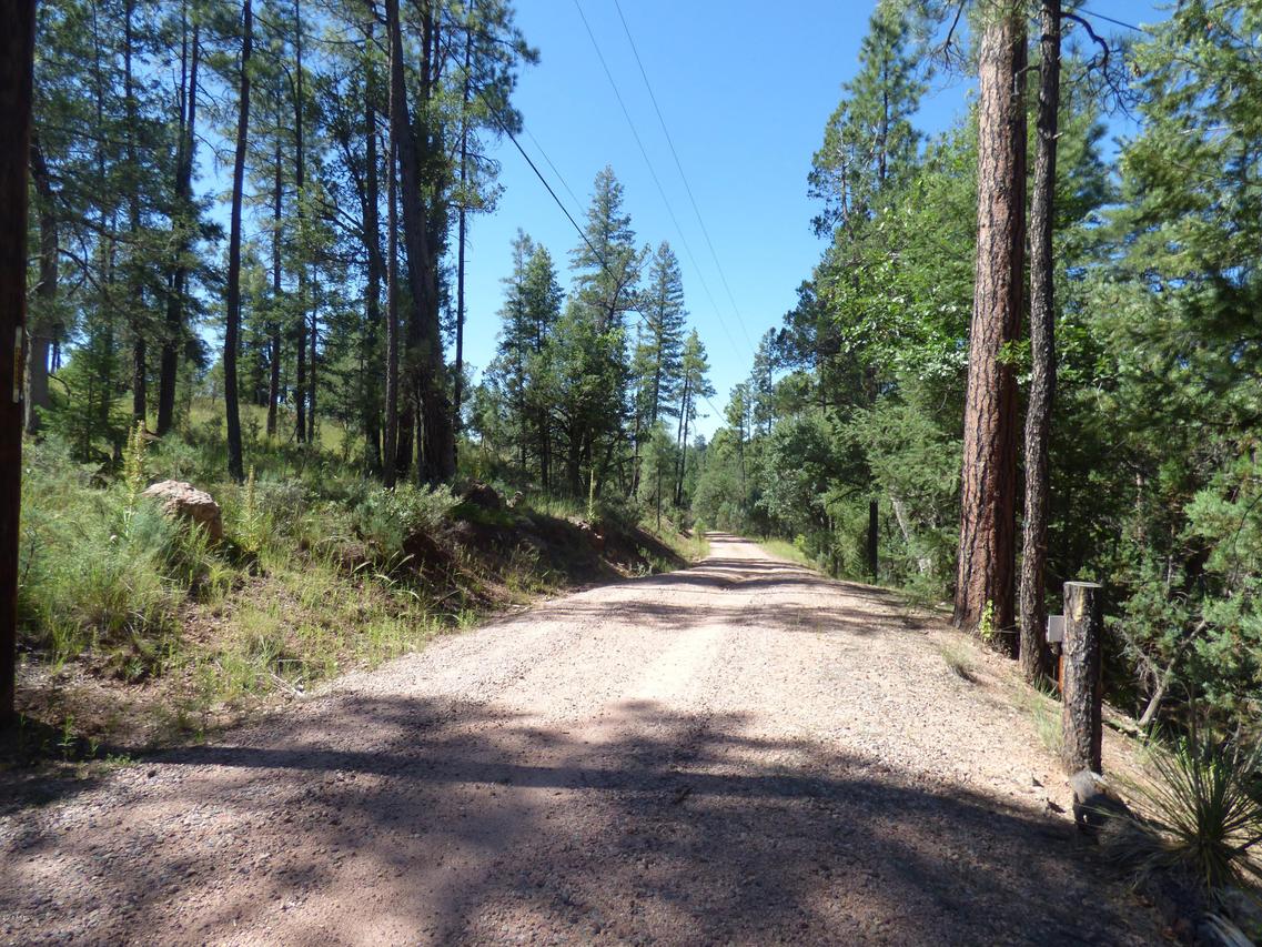 Lot 7 N Tonto Rim Ranch Rd. #7, Kohls Ranch, AZ 85541