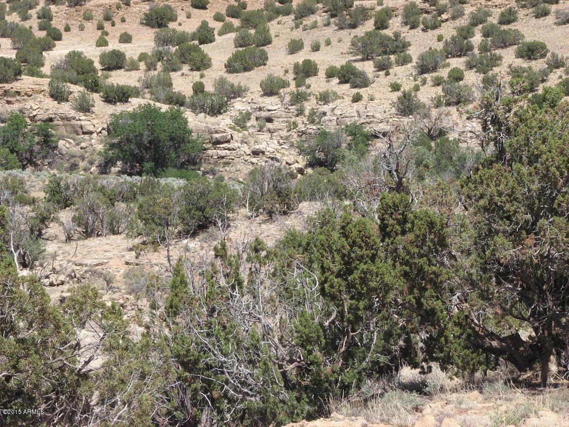 Sec.17 T14n,r17e:se4,sw4 Chevelon Ret #-, Heber, AZ 85928