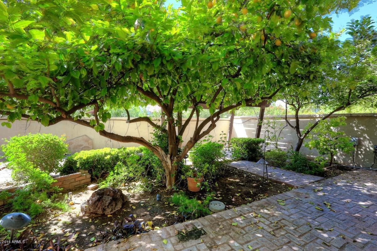 6701 N Scottsdale Rd. #3, Scottsdale, AZ 85250