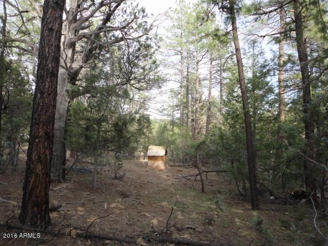 Lot 48 E Fossil Way #48, Christopher Creek, AZ 85541
