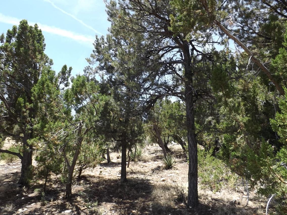3472 Carefree Rd. #131, Heber, AZ 85928