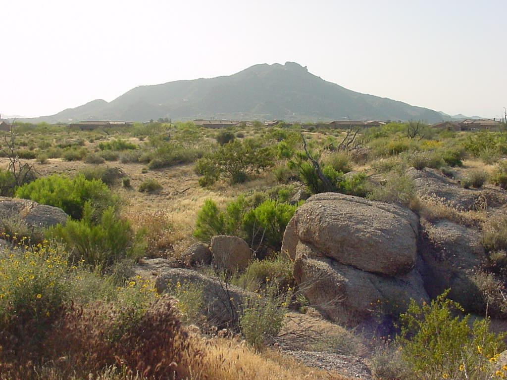 [Address Hidden by Seller], Scottsdale, AZ 85260