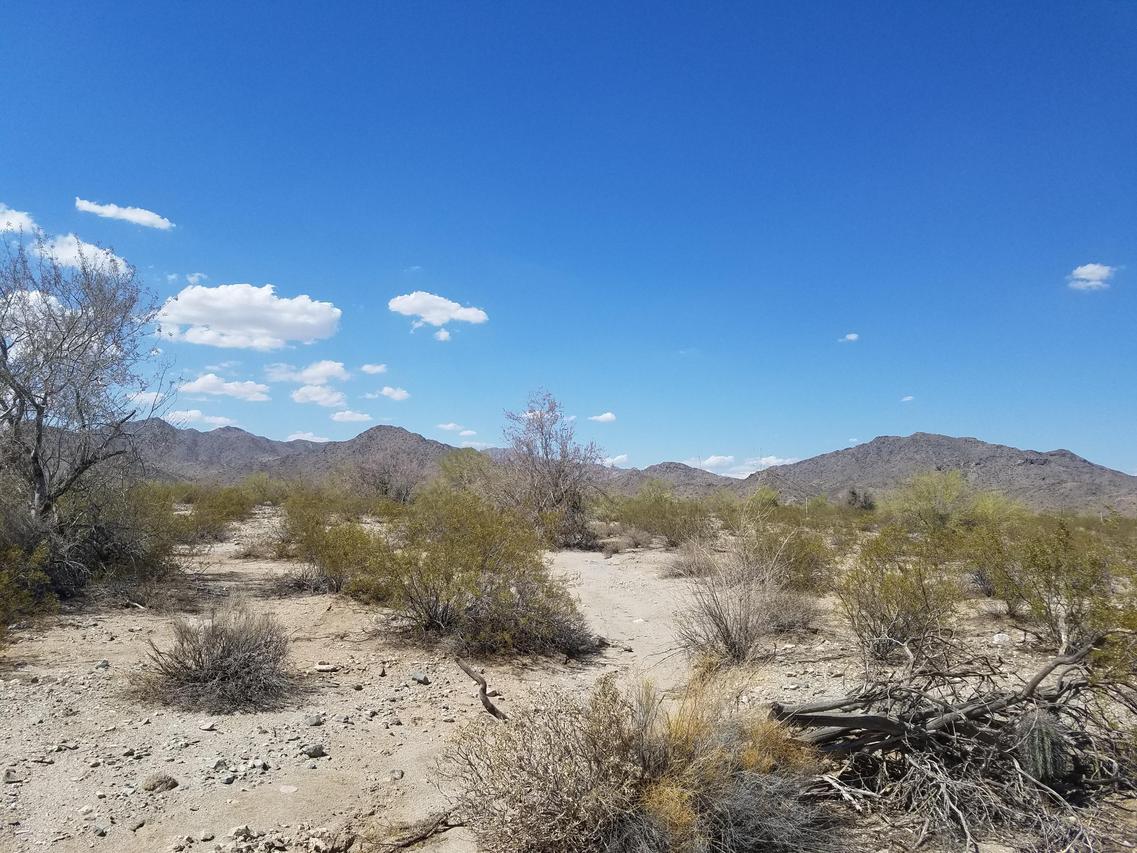 23116 W Roosevelt St. #91, Buckeye, AZ 85396