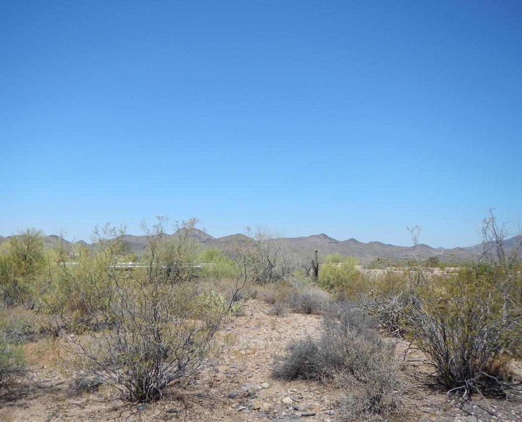 28202 N Hidden Valley #36, Cave Creek, AZ 85331