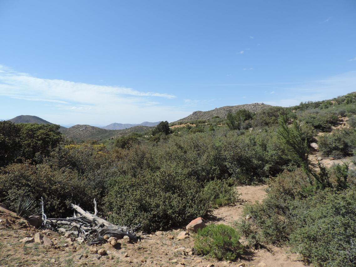 Parcel 252-02-085 #-, Kingman, AZ 86401