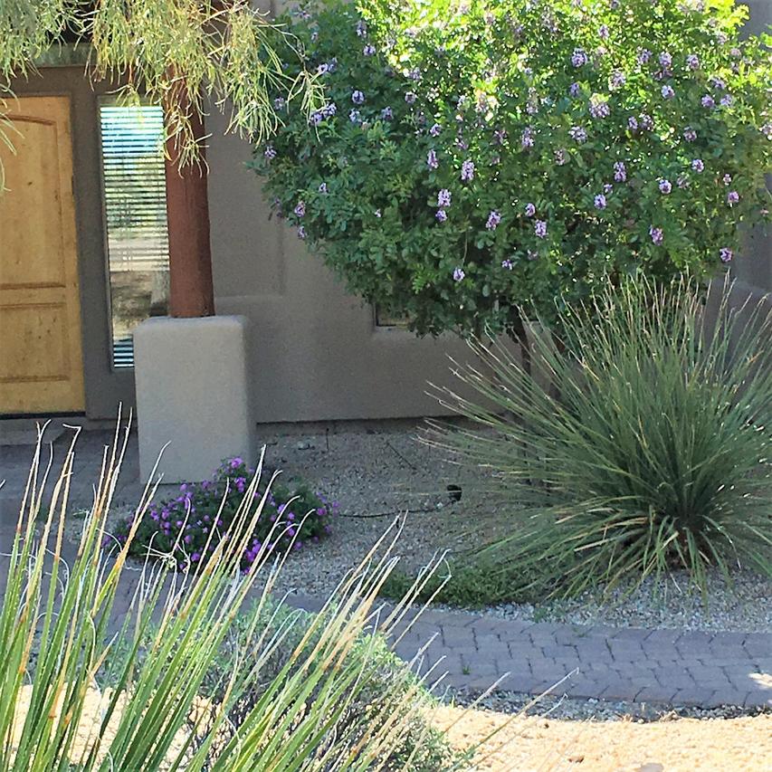 15121 E Cabrillo Dr., Fountain Hills, AZ 85268