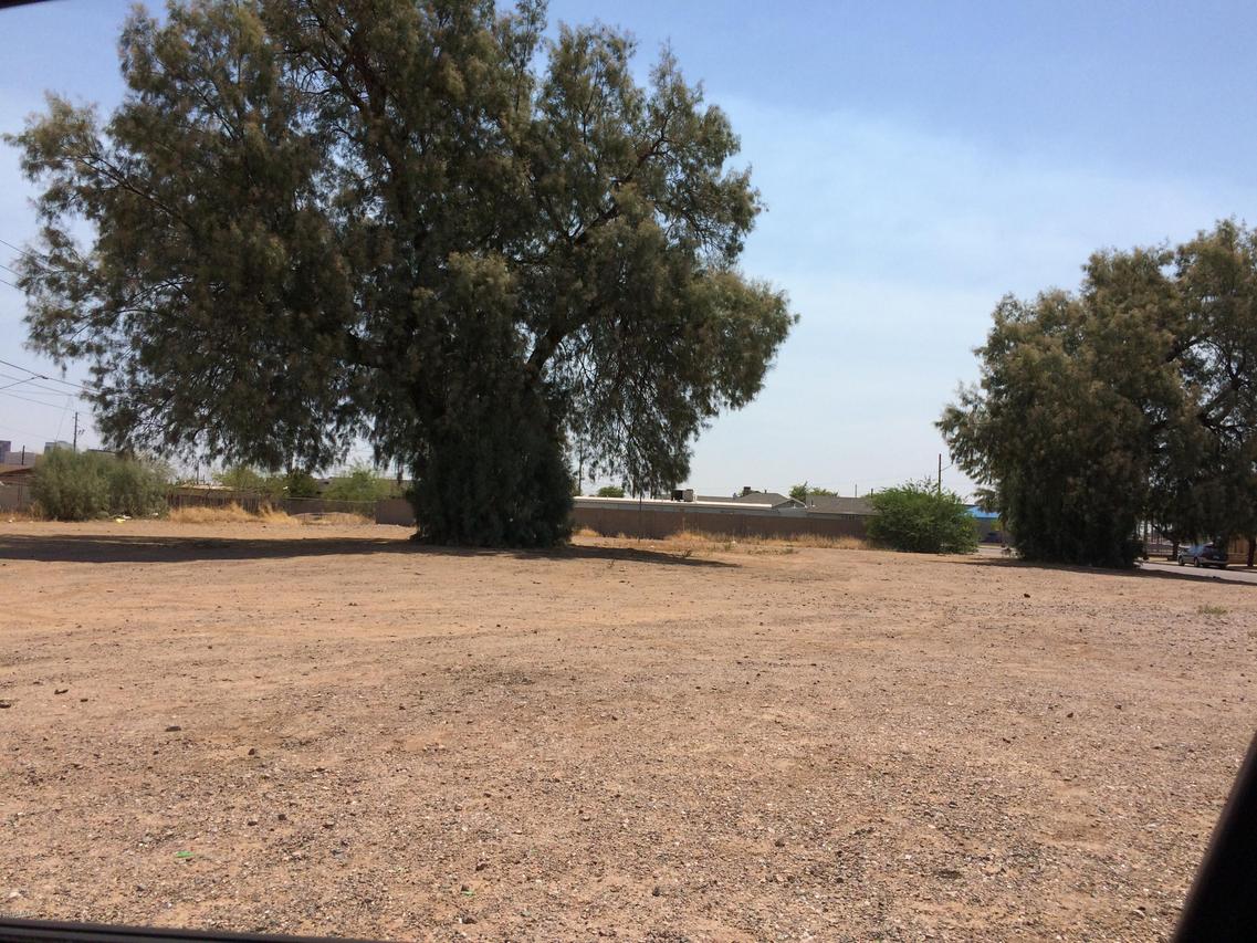 1415 S 17th Ave. #' _ ', Phoenix, AZ 85007