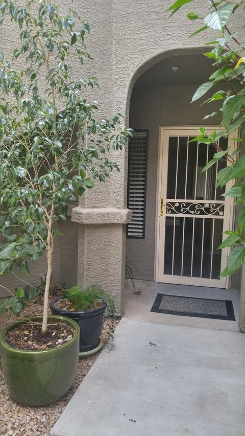 15225 N 100th St. #1207, Scottsdale, AZ 85260