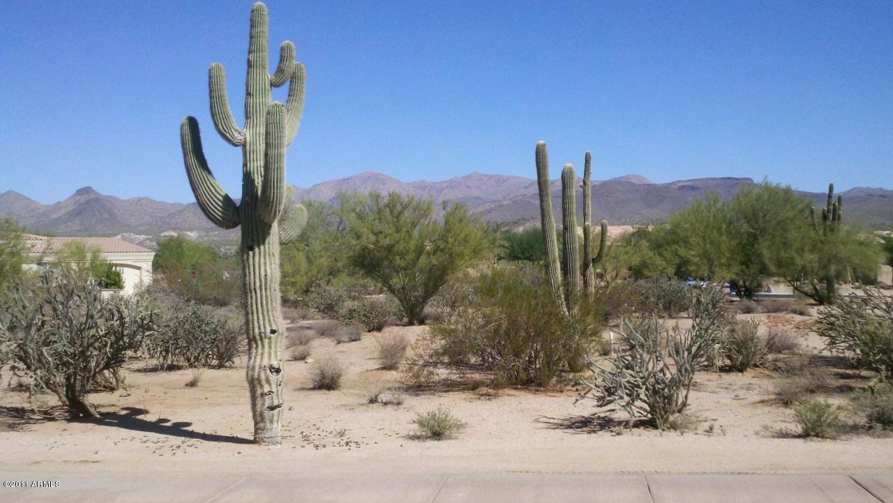 27028 N Sandstone Springs Rd. #495, Rio Verde, AZ 85263