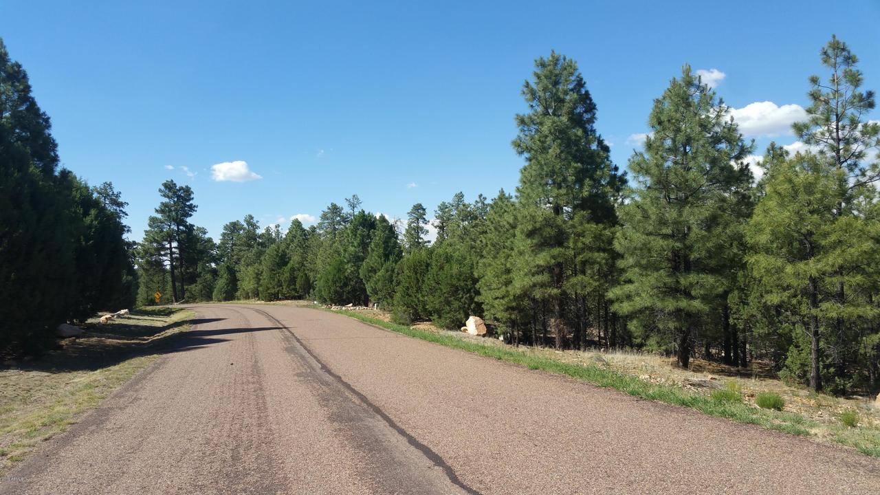 3445 Ponderosa Loop #140, Heber, AZ 85928