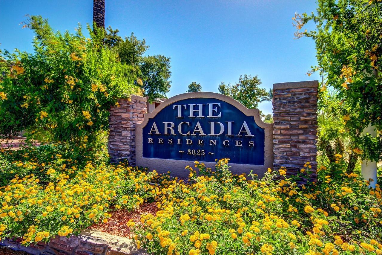 3825 E Camelback Rd. #166, Phoenix, AZ 85018