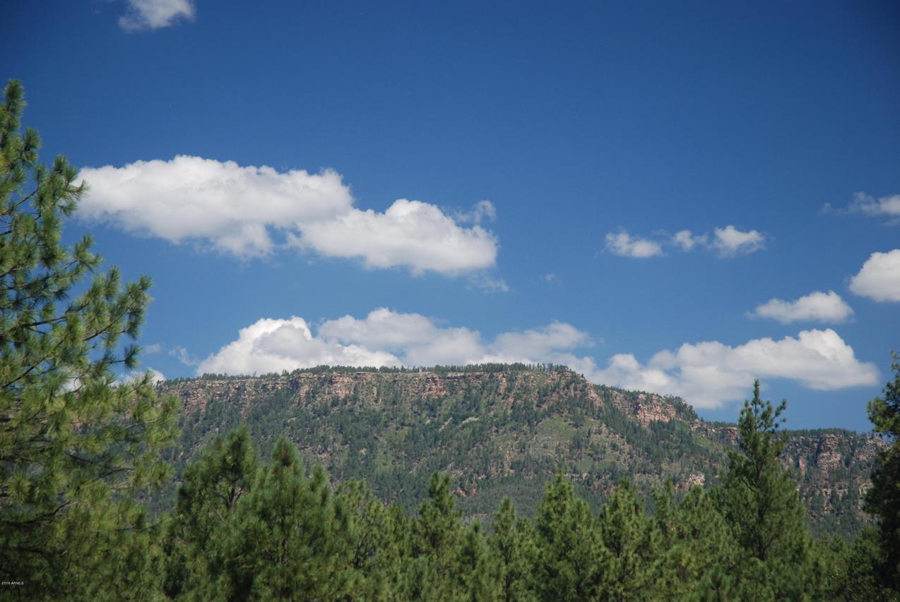 Lot 40 Wipila Wiki Dr. #40, Christopher Creek, AZ 85541