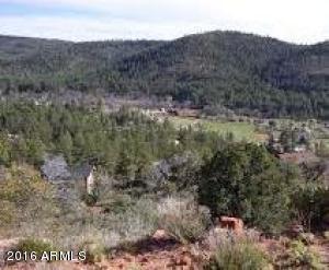 46 W Coyote Drive, Strawberry, AZ 85544