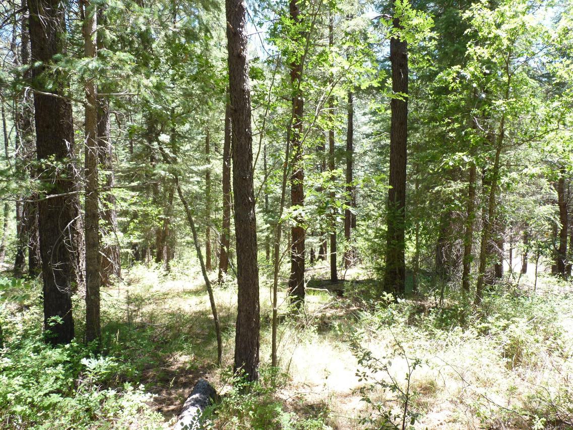 24xx-E E Walker Rd., Prescott, AZ 86303