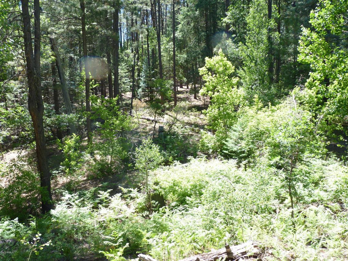24xx-Z E Walker Rd. #-, Prescott, AZ 86303