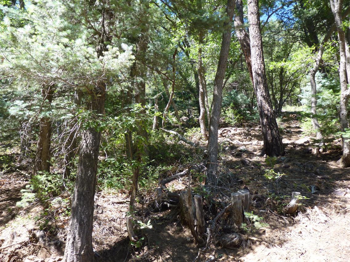 24xx-F E Walker Rd., Prescott, AZ 86303