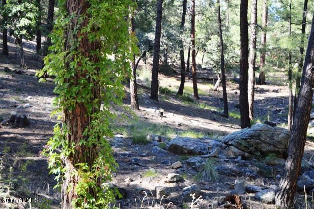 5342 W Arrowhead Dr. #22, Prescott, AZ 86305