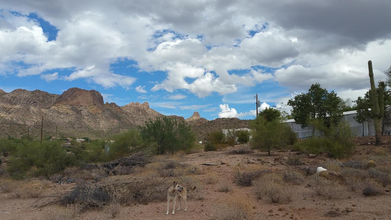 1347 W Moon Vista St., Apache Junction, AZ 85120